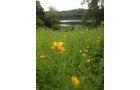 Property photo 119 - REAL ESTATE AUCTION, 163+/- Acres offered in 8 Tracts